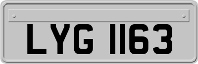 LYG1163