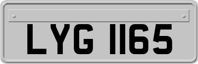 LYG1165