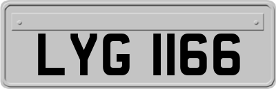 LYG1166