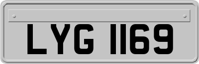 LYG1169