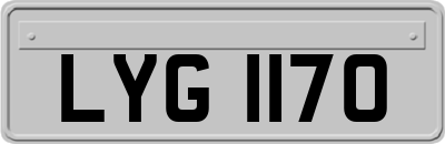LYG1170