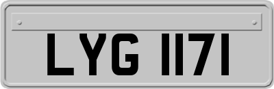 LYG1171