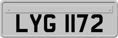 LYG1172