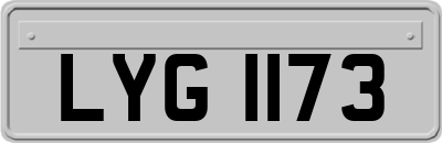 LYG1173