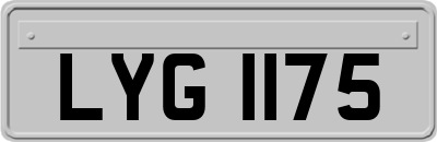 LYG1175