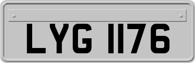 LYG1176