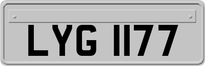 LYG1177