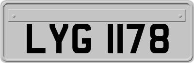 LYG1178
