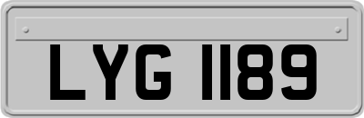 LYG1189