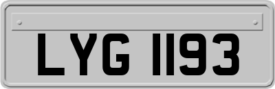 LYG1193