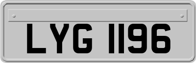 LYG1196