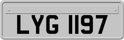 LYG1197