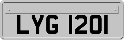 LYG1201