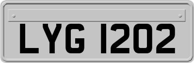 LYG1202
