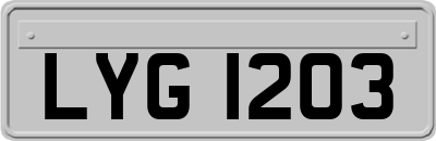 LYG1203