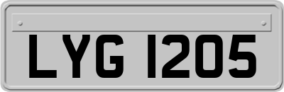 LYG1205