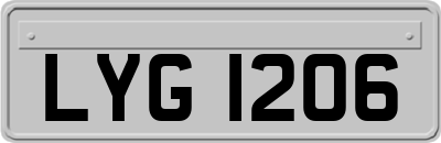 LYG1206