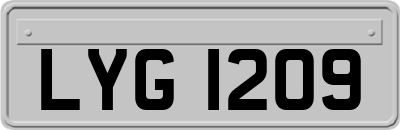 LYG1209