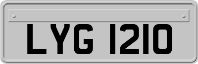 LYG1210