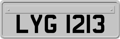LYG1213