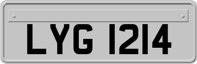 LYG1214