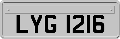 LYG1216