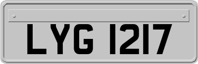 LYG1217