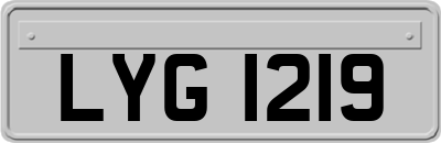 LYG1219