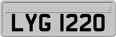 LYG1220