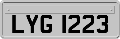 LYG1223