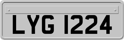 LYG1224