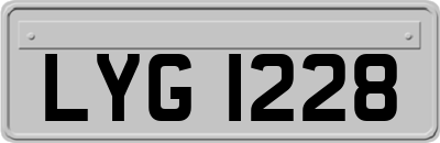 LYG1228