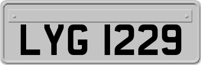 LYG1229