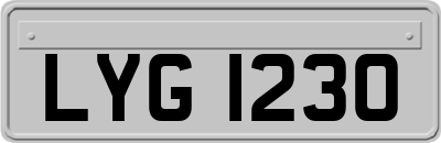 LYG1230