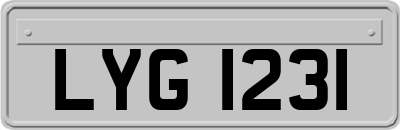 LYG1231