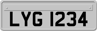 LYG1234