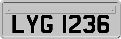 LYG1236