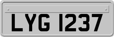 LYG1237