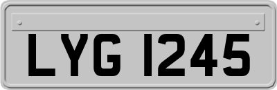 LYG1245