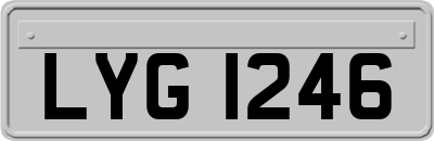 LYG1246