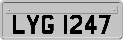 LYG1247