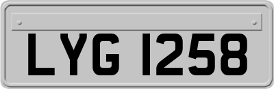 LYG1258
