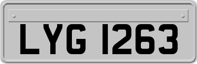 LYG1263