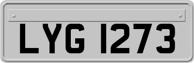 LYG1273