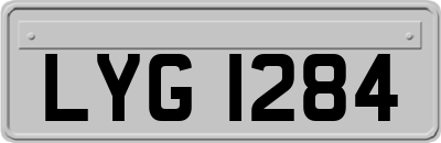 LYG1284