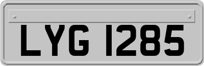 LYG1285