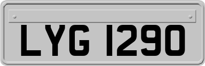 LYG1290