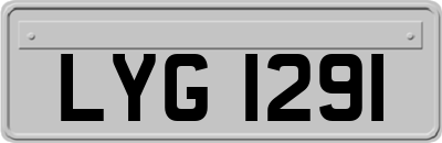 LYG1291