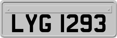 LYG1293