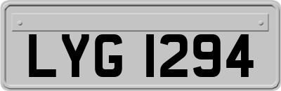 LYG1294
